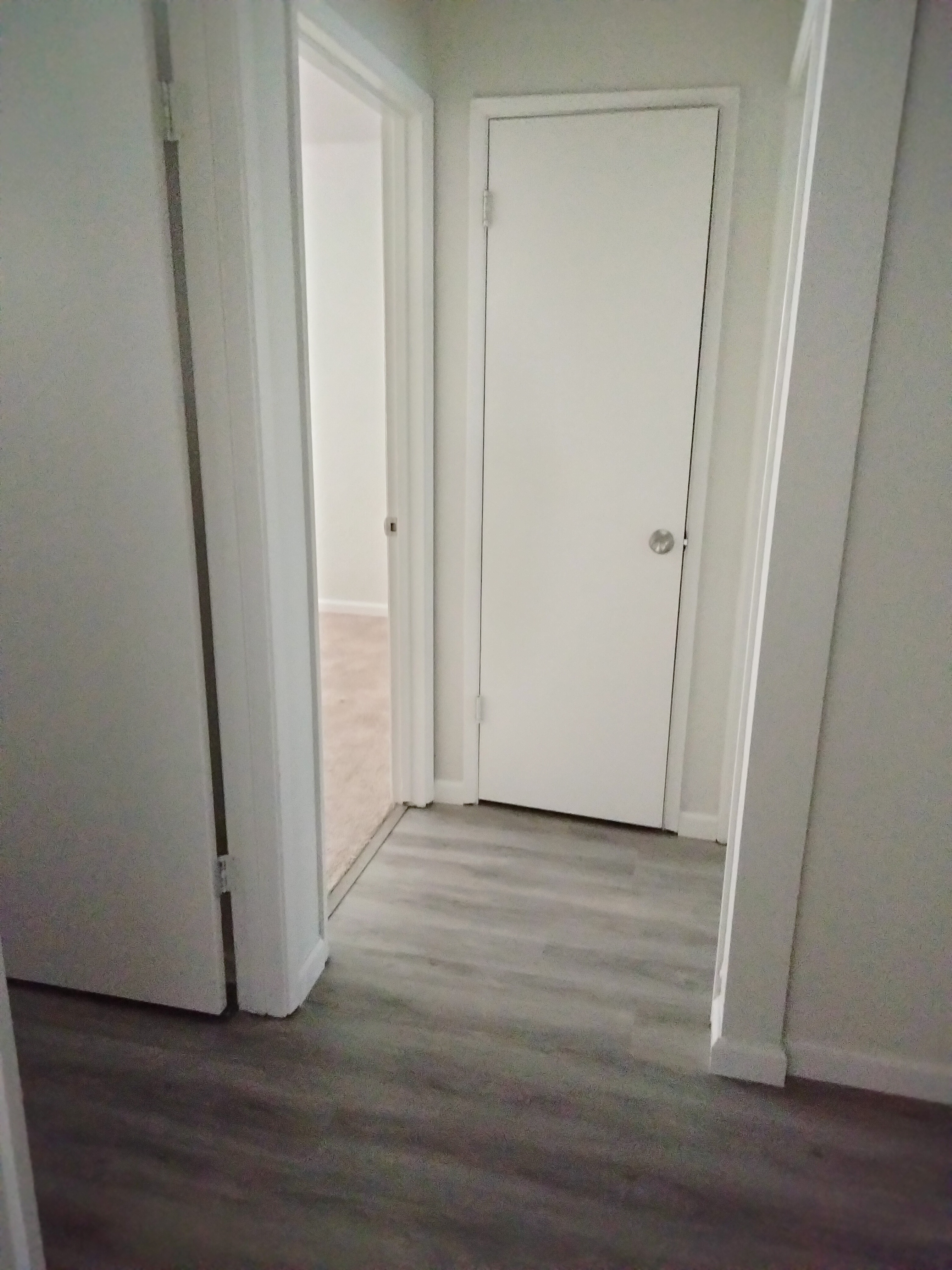 Additional photo of 521 E Elm Street rental property