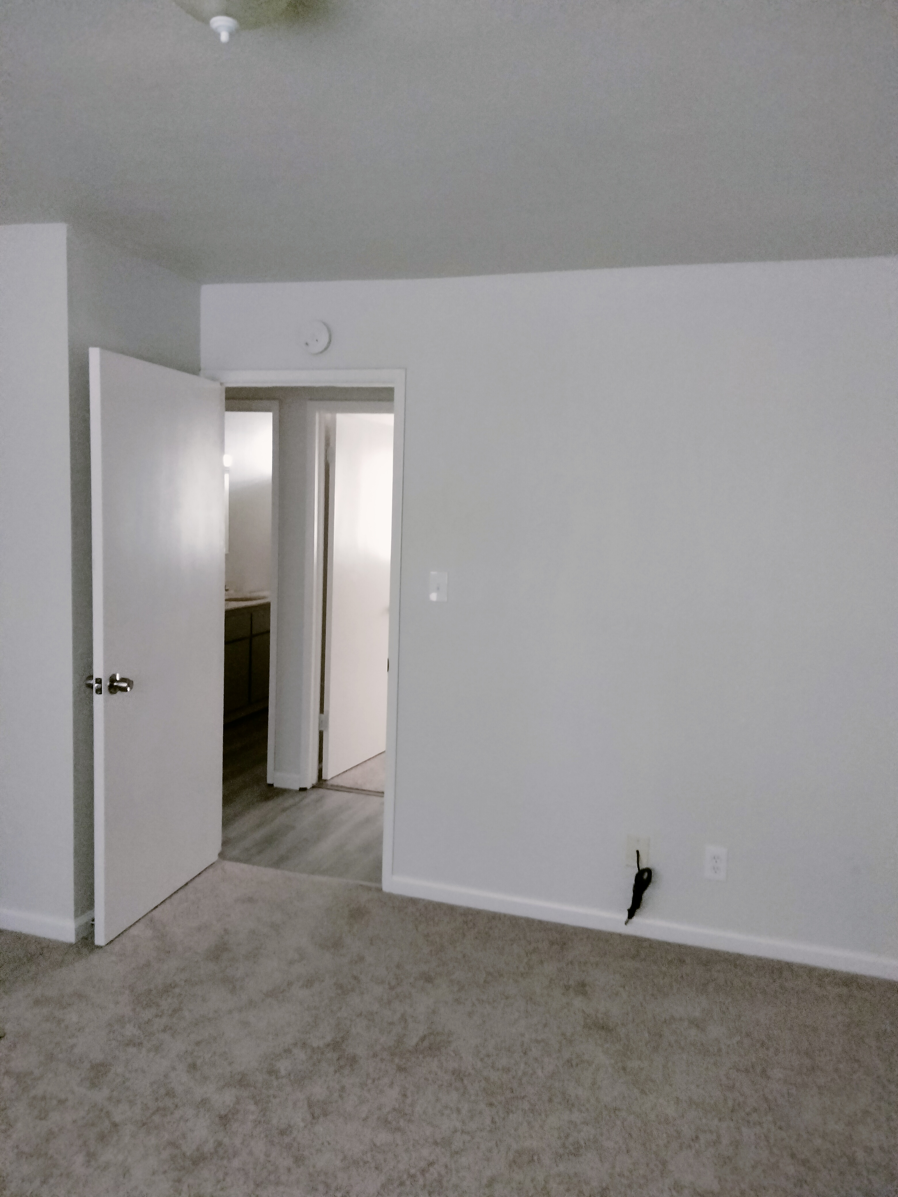 Additional photo of 521 E Elm Street rental property