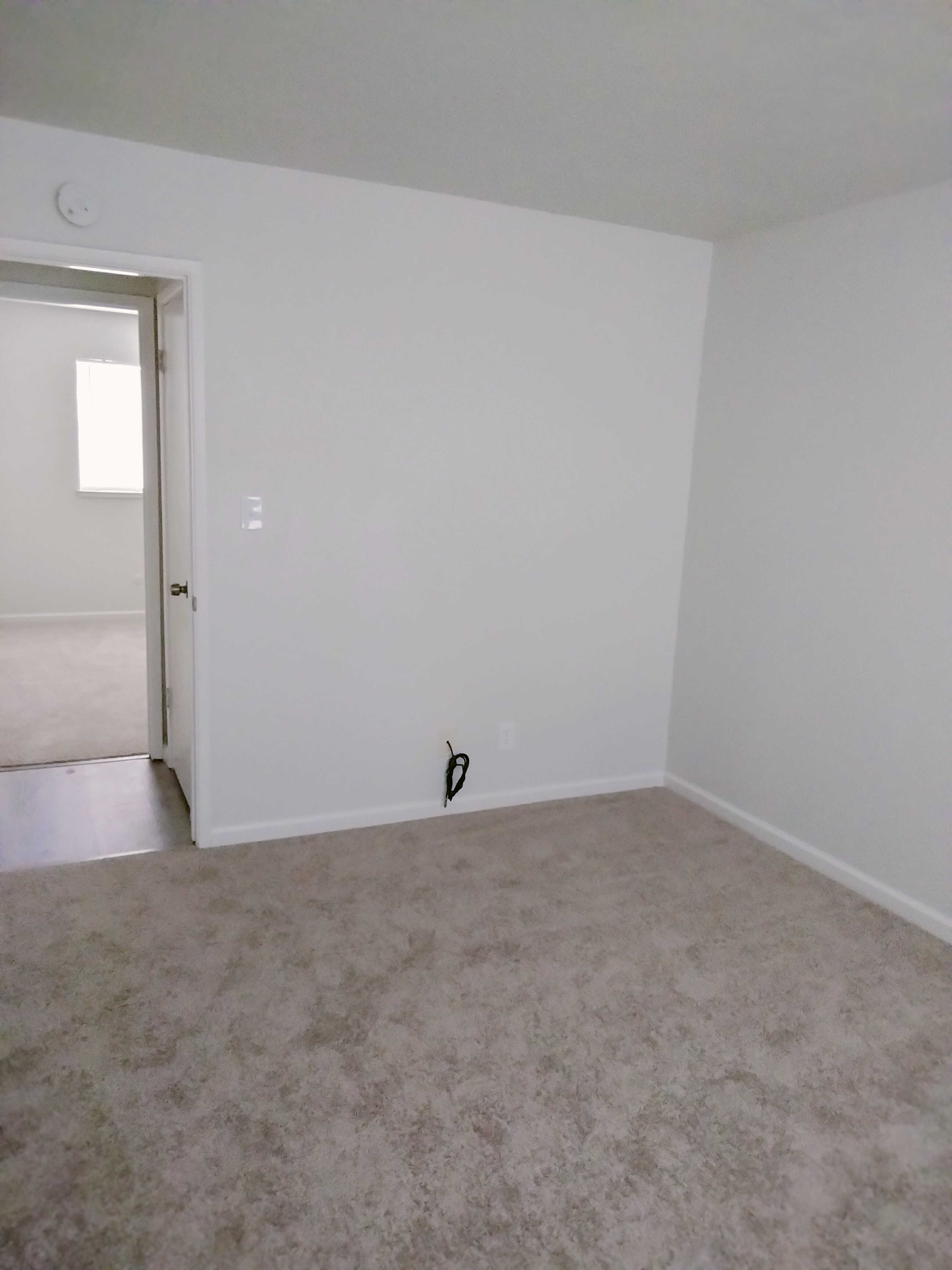 Additional photo of 521 E Elm Street rental property