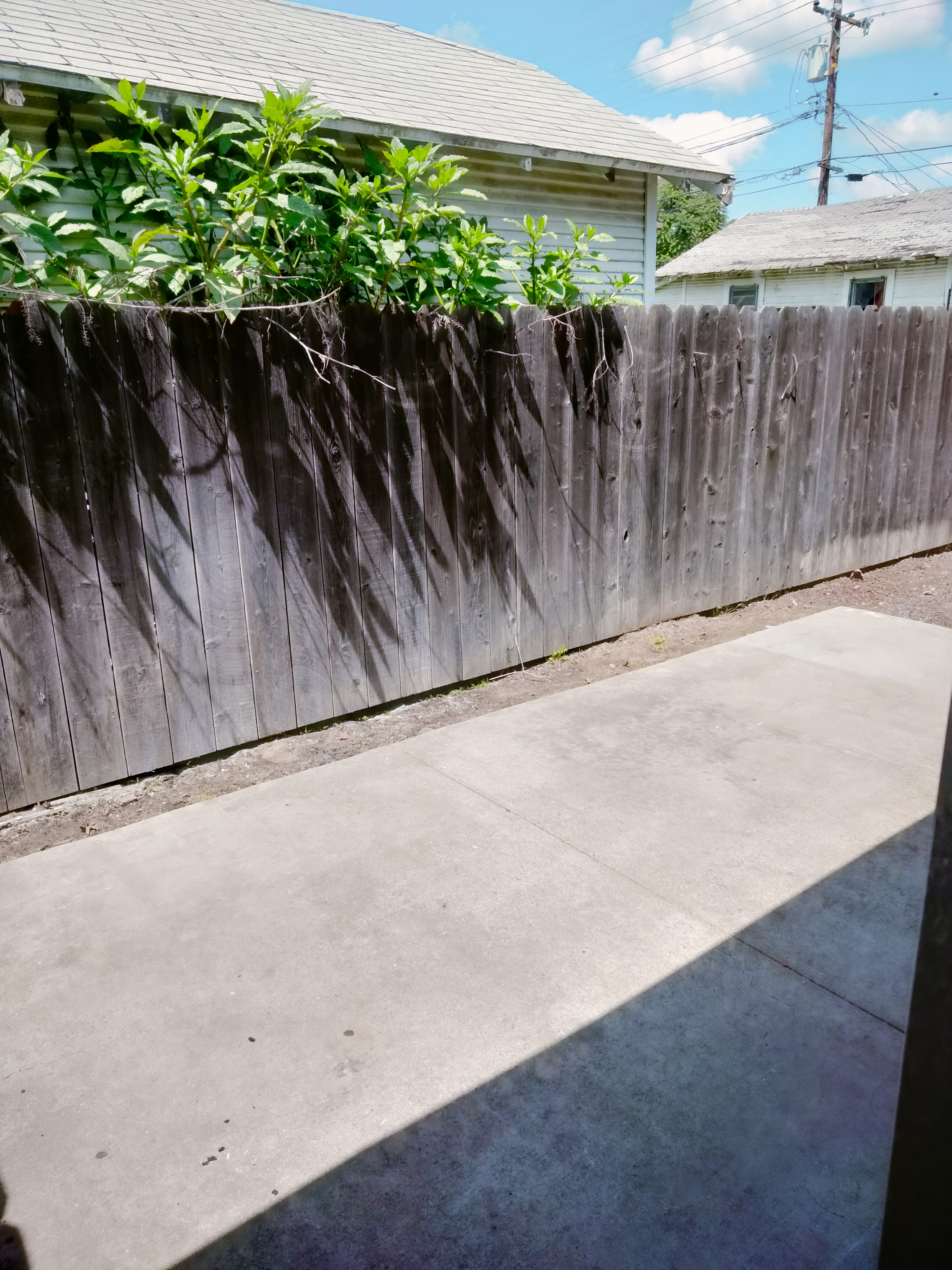 Additional photo of 521 E Elm Street rental property