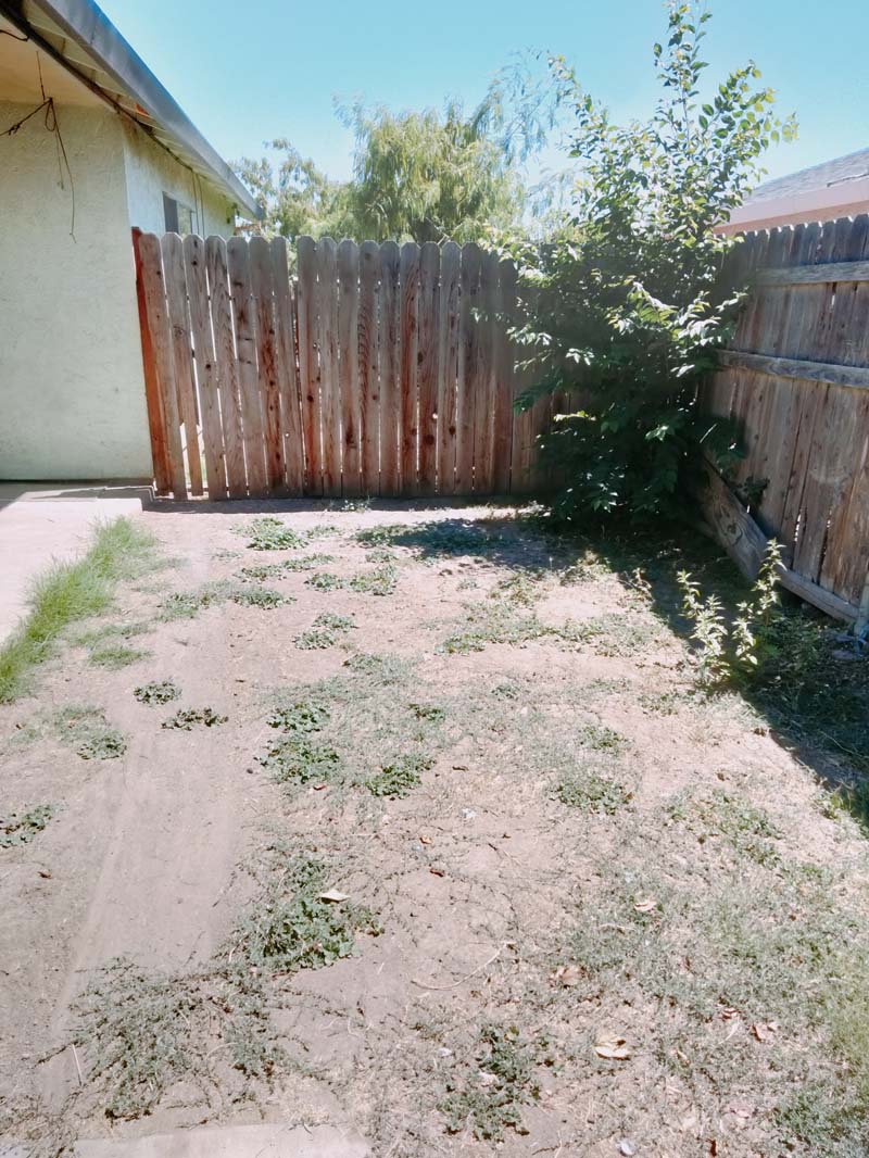 Fenced backyard at 674 Gannet Ct