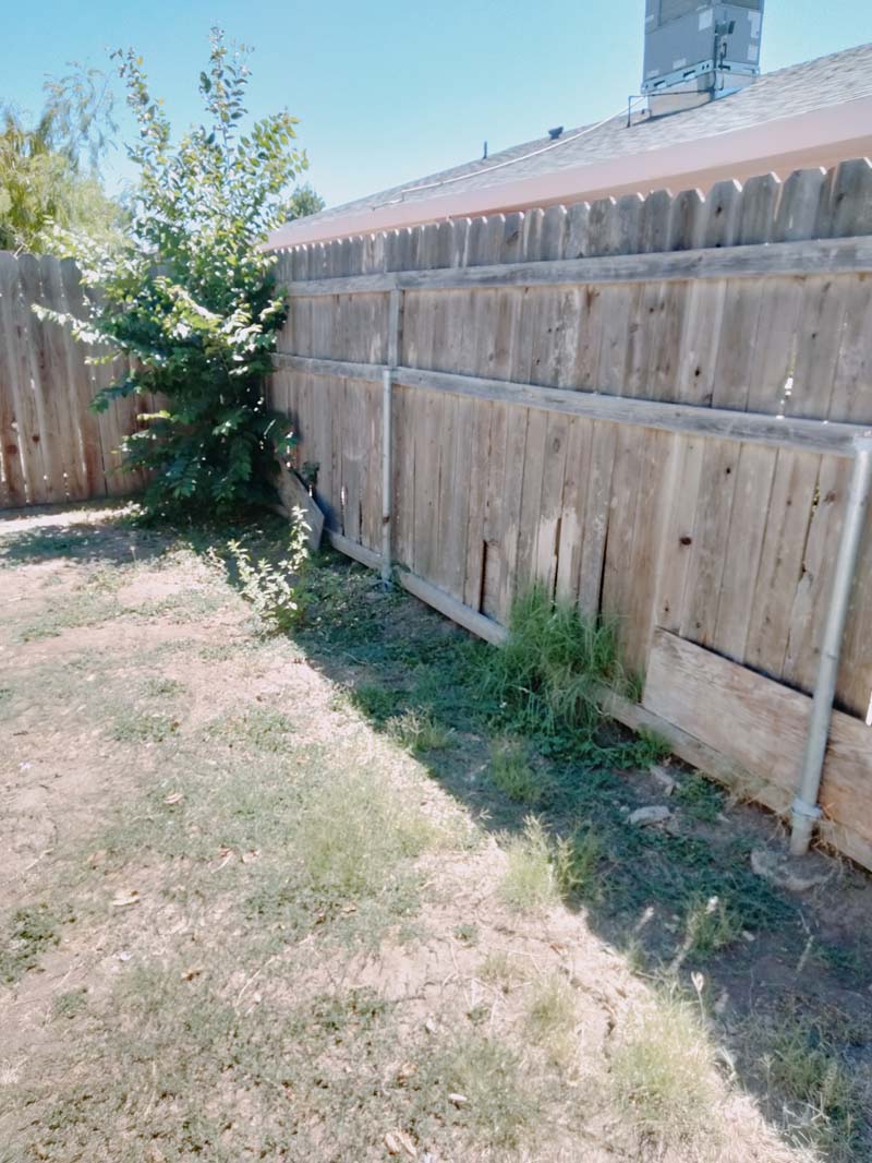 Side yard along the fence line at 674 Gannet Ct